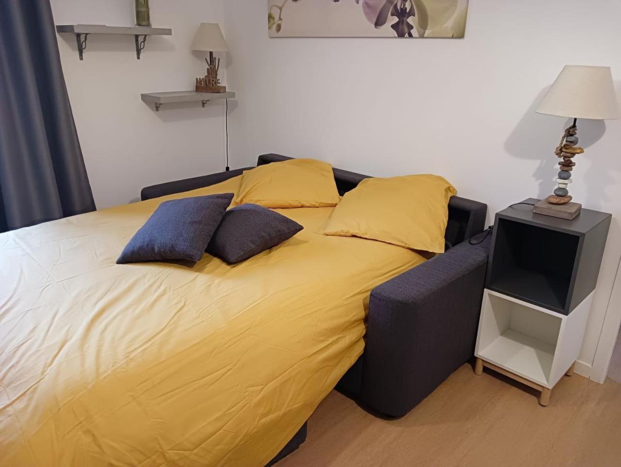 La Marmotte Appartement T2 Classe 3 Etoiles Aulus-les-Bains Exterior foto